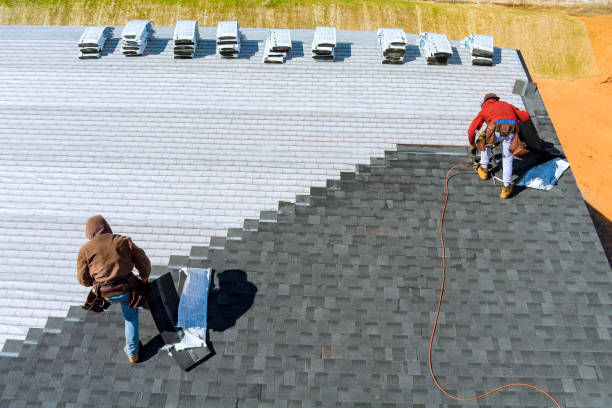 Best Roof Leak Repair  in Hudson, IA